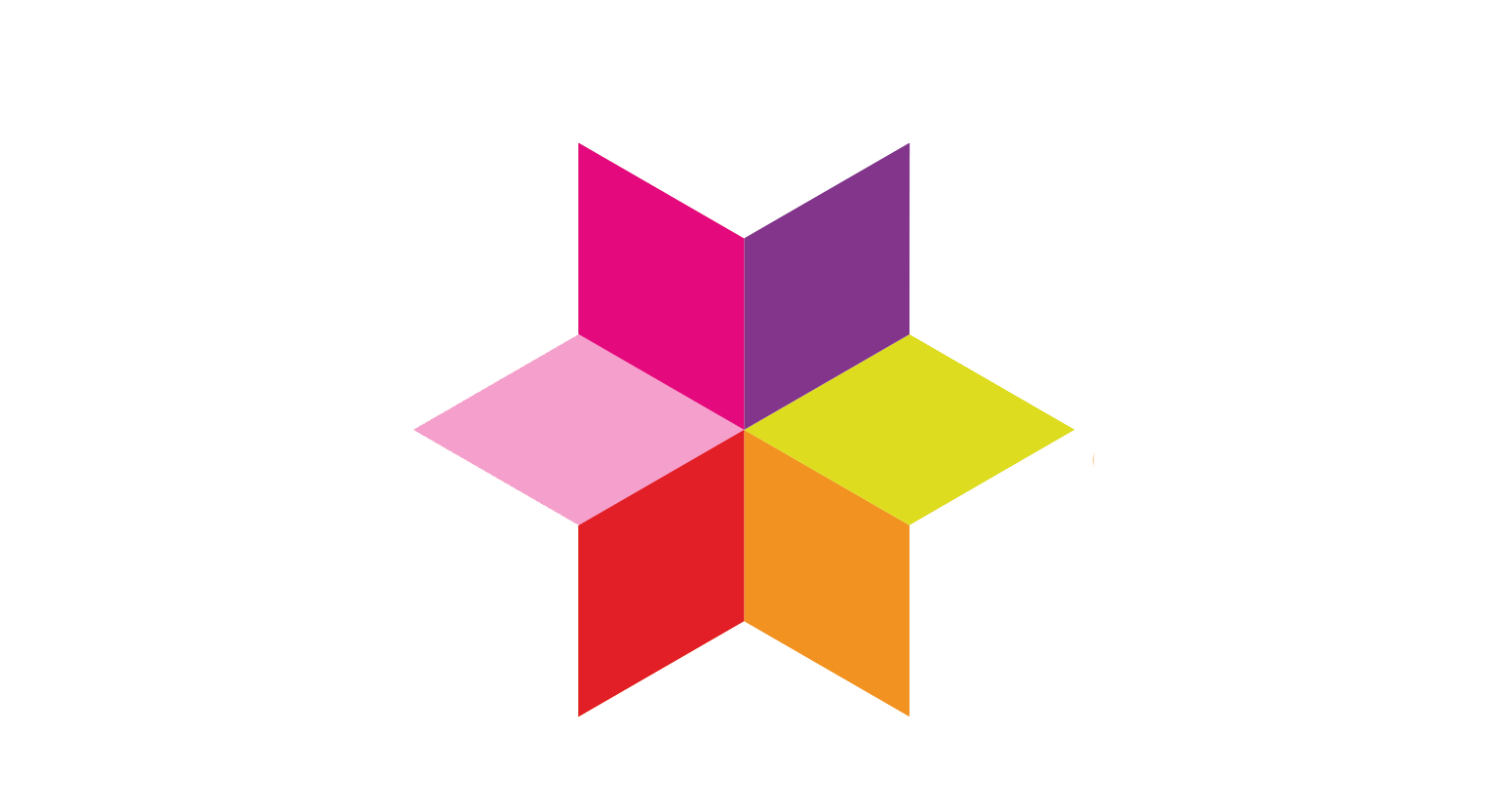 LOGO-FONDATION-2